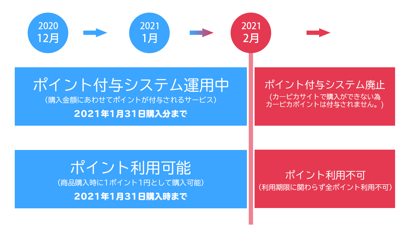 カーピカネットサイトポイントシステムについて