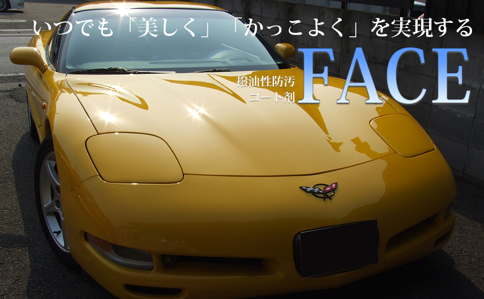 撥油性防汚コート剤【FACE】スポンジセット