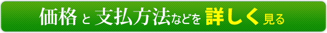 リセットの価格と支払い方法などを詳しく見る