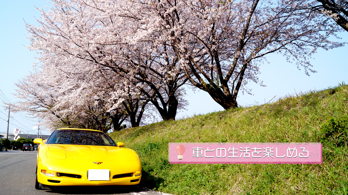 愛車とカーライフが楽しめる