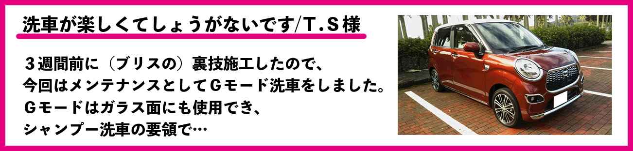 Gモードでの洗車は楽しくて仕方がない