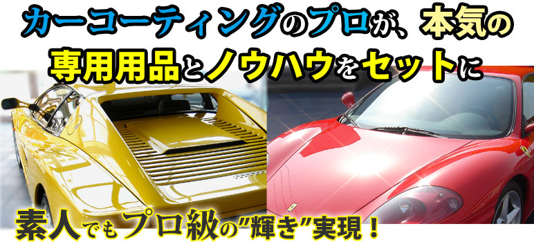 カーコーティングのプロ以上の輝きを実現 ブリスの裏技 カーピカネット公式通販 カーコーティングのプロ以上の輝きを実現 ブリスの裏技 カーピカネット公式通販