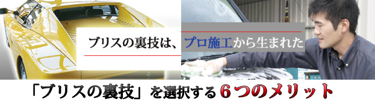 ブリスの裏技、6つのメリット