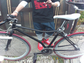 2012.04.13.JPG